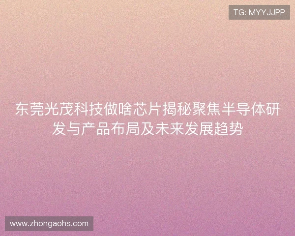 东莞光茂科技做啥芯片揭秘聚焦半导体研发与产品布局及未来发展趋势